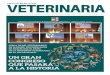 INFORMACIÓN VETERINARIAcolvet.es/.../2018-07/Informacion_Veterinaria_02-2018.pdf · 2018-07-13 · INFORMACIÓN VETERINARIA 3 EDITORIAL A la veterinaria mundial le sienta bien España