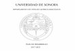 UNIVERSIDAD DE SONORA · nivelación académica de los alumnos de recién ingreso (cursos, talleres y asesorías, entre otras). 2.1.2 Porcentaje promedio de alumnos reprobados por