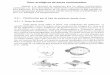 Tipos ecológicos de peces continentalesexa.unne.edu.ar/carreras/docs/Tipos ecologicos de peces... · 2015-03-20 · en la quijada opuesta (Fig. 8.5.b). Habitan en general en aguas