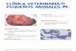 Pastor AlemanA4 traz.pdf 1 05/05/11 11:35 CLÍNICA ... · PEQUEÑOS ANIMALES DE Año 2011 Volumen 31 Nº 4 ... incongruencia radiocubital por medio de la artroscopia 209 Oncología