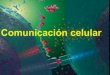 ¿LA CÉLULA ENTONCES COMUNICARSEfamilia de enzimas intracelulares y de membrana en organismos eucariotas que participa en los procesos de transducción de señales . Participan en