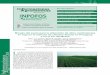 Ensayos de fertilización fosforada de soja Fertilización ...ipni.net/publication/ia-lacs.nsf/0/C6C2232A765C... · ces poseen línea de siembra no coincidente, inducen a la variabilidad