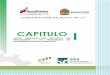 CAPITULO I - consultaspublicas.semarnat.gob.mxconsultaspublicas.semarnat.gob.mx/expediente/qroo/... · Yucatán, es un Estado políticamente joven con raíces históricas desde los