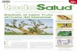 Boletín nº 8 • Edición Noviembre 2011 - Ejemplar gratuito ...download.biogran.es/public/granero/todosalud_8.pdf · Información nutricional En 100 g de pulpa de Baobab encontramos
