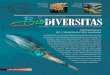 prIorIdades de conservacIón marInabioteca.biodiversidad.gob.mx/janium/Documentos/6315.pdf · nental de 388 000 km 2, 15670 km de estuarios y una superficie insular de 5 083 km2