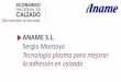 ANAME S.L. Sergio Montoya Tecnología plasma para mejorar ... · cargadas (aniones, cationes, radicales…) •Se mueve libremente •Reacciona a los campos eléctricos y magnéticos