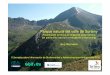 Parque natural del valle de Sorteny - GBIF.ES · 2018-11-05 · Rocas i pedregales (collada dels Meners - pic de la Serrera – pic de l’Estanyó) Precisar la cartografía nacional