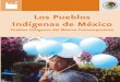 Los Pueblos Indígenas de Méxicoru.ffyl.unam.mx/bitstream/10391/353/1/monografia_n... · que todos los pueblos indígenas han he-cho a lo largo de su historia y desean hacer en la
