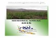 MEMORIA ANUAL 2016 - CHUCARAPI 2016.pdf · del negocio de Central Azucarera Chucarapi Pampa Blanca S.A., durante el año 2016, sin perjuicio de la responsabilidad que compete al emisor,