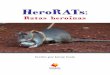 HeroRATs · ¿Quién descubrió el potencial de las ratas y dedicó tiempo y esfuerzo para entrenarlas? La respuesta es Bart Weetjens. De niño, a Bart le encantaban los animales