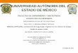 UNIVERSIDAD AUTÓNOMA DEL ESTADO DE MÉXICOri.uaemex.mx/oca/view/20.500.11799/31511/1/secme-21051.pdf · 2016-03-16 · UNIVERSIDAD AUTÓNOMA DEL ESTADO DE MÉXICO FACULTAD DE ENFERMERÍA