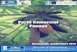 Presentación - maga.gob.gt papaya.pdf · productores canarios, especialmente en las islas de Tenerife y Gran Canaria a entrar en este mercado sustituyendo parte de sus cultivos de