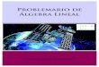 problemario libro álgebra linealsb46f5727470feb20.jimcontent.com/download/version/1410018735/module/... · • Responsable de la edición: Ana Beatriz Alonso Osorio anabe.alonso@gmail.com