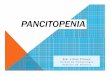 Pancitopenia.ppt [Modo de compatibilidad]hematologia.org/bases/arch1073.pdf · o Presencia simultánea de anemia, leucopenia y trombocitopenia. o No es una enfermedad en sí, sino