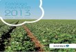 Albariza - GAROLCAMPO · aceite. · Excelente adaptación a las diferentes condiciones de cultivo. Índice productivo medio de ensayos propios realizados en 5 localidades en Andalucía