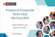 Proyecto de Presupuesto Sector Salud Año Fiscal 2019 · Sector Salud Año Fiscal 2019 SILVIA PESSAH ELJAY Ministra de Salud 1. CONTENIDO 1. Marco Estratégico. ... Lineamiento 4: