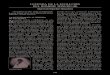 LEYENDA DE LA EVOLUCIÓN DEL HOMBRE MINERO (II)cangilon.regmurcia.com/revista/N29/N29-12.pdf · 2012-11-27 · de la génesis del hombre; simbiosis obligada en su con-tacto con la