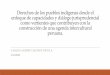 Derechos de los pueblos indígenas desde el enfoque de ... · Derechos de los pueblos indígenas desde el enfoque de capacidades y diálogo jurisprudencial como vertientes que contribuyen