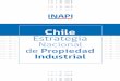 Chile Estrategia Nacional de Propiedad Industrial · diseños/dibujos industriales en Chile..... 87 Trámites y estado de las solicitudes de dibujos/diseños industriales en Chile