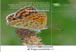 Programa piloto de seguimiento de mariposas …calcular índices sobre la evolución de la biodiversidad, objetivo fundamental de un programa de seguimiento de mariposas. Tendencias