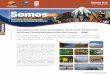 Subsistema de áreas protegidas del Estado: Patrimonio de ... · Dinamización y mejora en los servicios turísticos comunitarios en la laguna del Quilotoa Organización ejecutora: