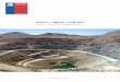 Anuario de la Minería de Chile 2014 Servicio Nacional de ... · mediana y pequeña minería del país, así como la colaboración especial de la Comisión Chilena del Cobre, Banco