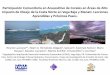 Participación Comunitaria en Acuacultivo de …...Participación Comunitaria en Acuacultivo de Corales en Áreas de Alto Impacto de Oleaje de la Costa Norte en Vega Baja y Manatí