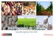 Presentación de PowerPoint · Documento oficial del MINAGRI que permite ORIENTAR a los pequeños y medianos productores dedicados a cultivos anuales. Finalidad: Siembra de áreas