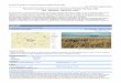 Plan básico de gestión y conservación del Espacio ...lifemedwetrivers.eu/sites/default/files/documentos/es4140136.pdf · requerimiento ecológicos de los valores Red Natura 2000