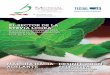 EL SECTOR DE LA STEVIA LOGRA microal... · 2017-01-30 · • Grasa vegetal. • Grasa vegetal totalmente hidrogenada. • Aceites vegetales hidrogenados. NOTICIAS Una guía rápida
