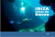 ibizasailingpleasure.com Ibiza costa/Rutas Buceo Ibiza.pdf · Bossa, no lejos del puerto de Ibiza. Fondeamos en la cara Norte de la isla donde el anda reposa a -8 metros. Inicialmente