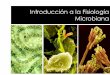 Introducción de la Fisiología Microbianadepa.fquim.unam.mx/amyd/archivero/U1.IntroduccionFisio...Introducción a la Fisiología Microbiana Interacciones con el humano Flora Normal