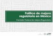 Política de mejora regulatoria en Méxicorepositorio.enap.gov.br/bitstream/1/2885/5/2017.06.28_9h...organismos descentralizados de la APF. 4. Agenda Subnacional Con base en la instrucción