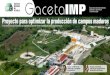Gaceta IMP“La idea es tratar de encontrar soluciones alternativas que permitan optimizar la producción de campos maduros y, en particular, este proyecto está enfocado a campos