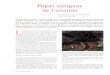 Papas antiguas de Canarias · 2010-07-13 · entidades, como lo hacen constar en el librito editado por la Asociación, Papas antiguas de Canarias (patrocina-do por el Cabildo y el