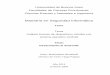 Maestría en Seguridad Informática157.92.136.59/download/tpos/1502-0564_BendinelliM.pdf · Universidad de Buenos Aires Facultades de Ciencias Económicas, Ciencias Exactas y Naturales