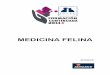 MEDICINA FELINA PROCEEDING - Avepa FELINA_PROCEEDING.pdf · GERIATRIA FELINA Llibertat Real Sampietro Clinica Veterinaria Bendinat, Mallorca llibertatreal@hotmail.com Geriatría es