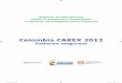 Colombia CAREX 2012 · Cuadro comparativo de los CAREX Finlandia, España, Francia, Italia, ... y de materiales trenzables (población asegurada = 20.135) _____ 42 Tabla 18. Número