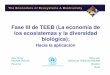 Fase III de TEEB (La economía de los ecosistemas y la ... · • Uso del enfoque de TEEB para reconocer, demostrar y captar los valores sociales y económicos de la biodiversidad