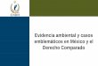 Evidencia ambiental y casos emblemáticos en México y el … · 2016-06-22 · Contexto (Apartado B del artículo 102 Constitucional). 1.- CNDH. Artículo 102. B.Establecimiento