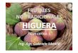 FRUTALES NO TRADICIONALES HIGUERA - UNLPaulavirtual.agro.unlp.edu.ar/file.php/23/Optativa_-_Archivos_de_Clases/... · Condiciones climaticas En el hemisferio norte se la cultiva entre