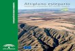 Ambientes semiáridos del sureste andaluz Ambientes semiáridos … · 2018-04-23 · 5 En los actuales ambientes semiáridos y esteparios de Andalucía oriental está el registro