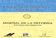 Mineral de la Reforma estado de Hidalgo : cuaderno estadístico …internet.contenidos.inegi.org.mx/.../702825926144_1.pdf · 2014-10-20 · (INEGI) y el Gobierno del Estado de Hidalgo,