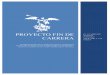 PROYECTO FIN DE CARRERA - Universidad de Sevillabibing.us.es/proyectos/abreproy/30258/fichero/PFC_DAVIDPEREIRA_IOI_cmi.pdf · El conjunto de los estándares ISO 9000 nace en 1987