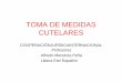 TOMA DE MEDIDAS CUTELARES - catedradip1laplata.com · cautelares" o "medidas de seguridad" o "medidas de garantía" se consideran equivalentes cuando se utilizan para indicar todo
