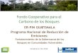 ER-PIN GUATEMALA Programa Nacional de Reducción de …Xinca (1) Garifuna (1) y Mestiza (1). • Uno de los 19 países “Megadiversos” en el mundo en términos de biodiversidad;