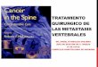 Traumatología y Cirugía vertebral en Pamplona - METASTASIS … · 2014-05-04 · VP •Restauración de la resistencia original con 2 cc de cemento. Belkoff SM, Mathis JM, Jasper