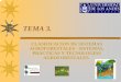 TEMA 3 - uCoz · 2013-07-11 · CLASIFICACION AGROFORESTAL Otros sistemas agroforestales se pueden especificar, como la apicultura con árboles, la acuacultura en zonas de manglar,
