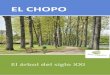 EL CHOPOpropopulus.eu/wp-content/uploads/2018/07/Argumentaire-ES...Utilización de la madera de chopo en Europa Según los datos presentados en el ^^_v ] ]v(} u ]À] nacionales sobre