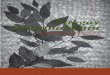 Manuel Espinosa Sainos. Tlikgoy litutunakunín / Cantan los totonacos. Comisión Nacional para el Desarrollo de los Pueblos Indígenas. ISBN 978-970-753-180-2 / Tlikgoy litutunakunín